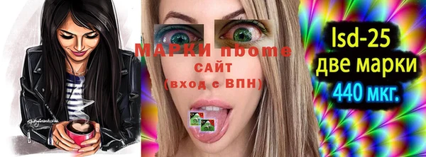 стафф Вязьма