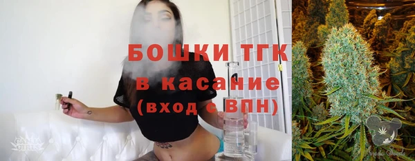 гашик Протвино