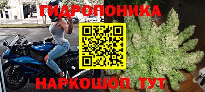 spice Беслан