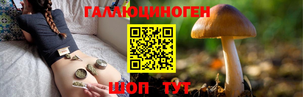 Гуково  Галлюциногенные грибы MAGIC MUSHROOMS  Вход с VPN 